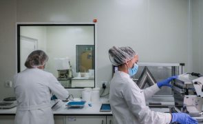 Laboratório Nacional do Medicamento produz metadona e antibióticos para pinguins