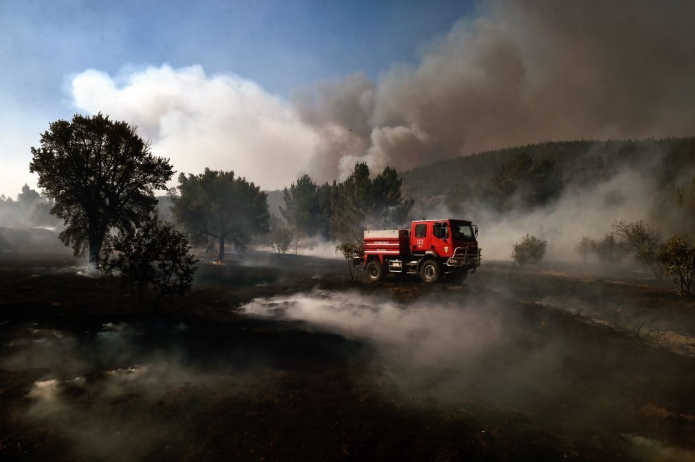 Centenas de pessoas deslocadas devido ao fogo de Mação