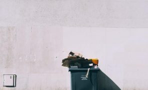 Mulher recolhe objetos no lixo avaliados em 18 mil euros
