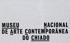 Museu do Chiado mostra coleção Mário Teixeira da Silva nunca exibida no país