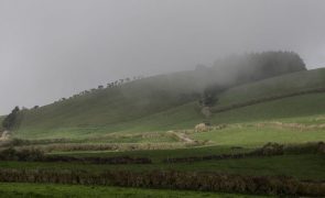 Açores/Sismos: Cientistas das Canárias em São Jorge para apoiar vigilância vulcânica
