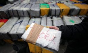 Fisco deteta 320 kg de cocaína em contentor frigorífico oriundo da América do Sul