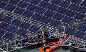 Leilão solar flutuante com preço de energia mais baixo do mundo -- Governo