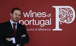 Vinhos portugueses querem conquistar Estados Unidos