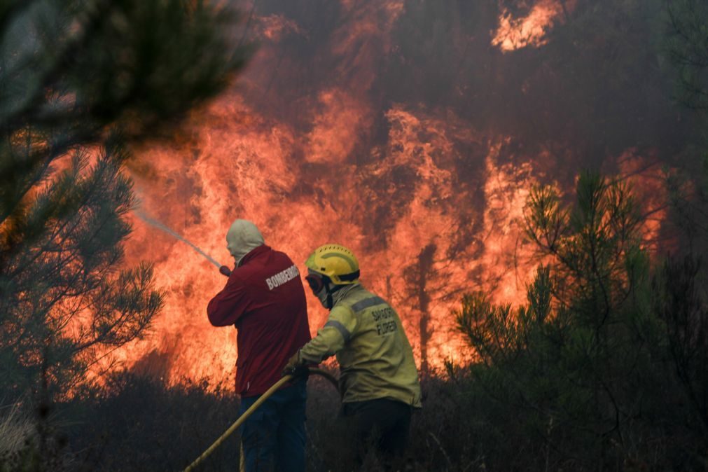 Incêndios: Detido suspeito de fogo florestal na Sertã