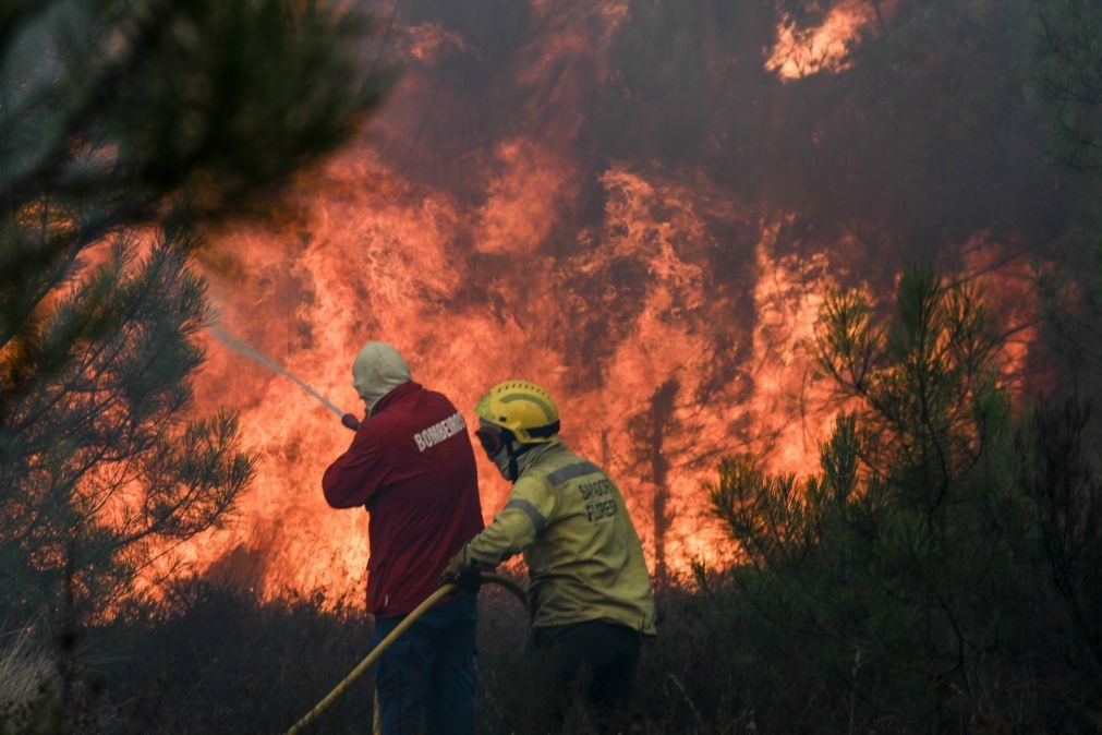 PJ deteve 62 incendiáros este ano, 26 ficaram em prisão preventiva