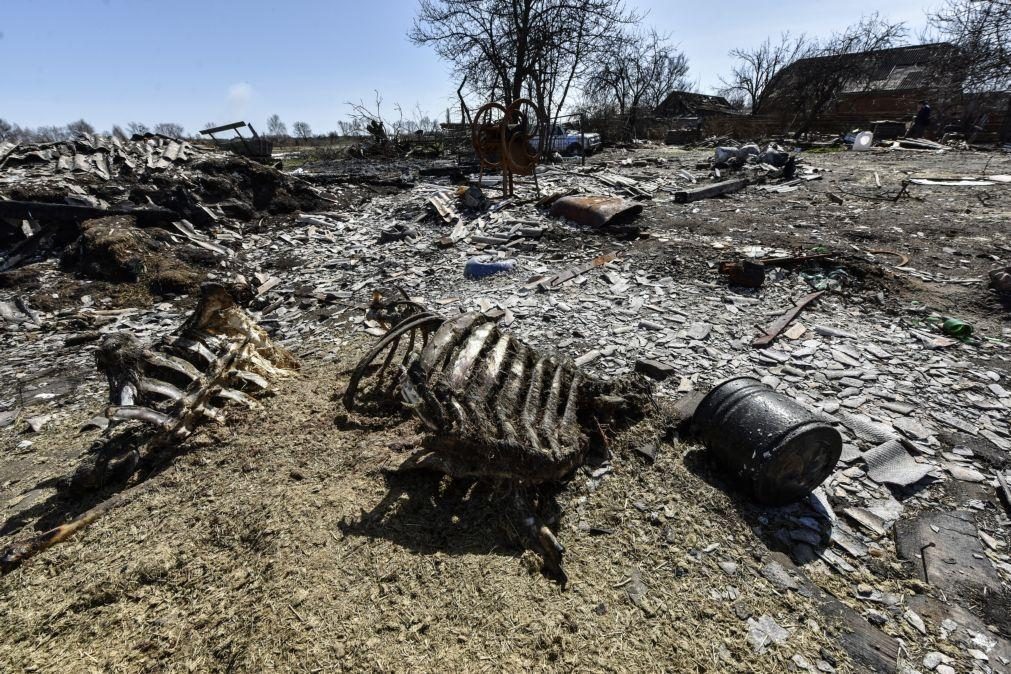 Ucrânia: Mais de 900 corpos de civis descobertos na região de Kiev após retirada russa