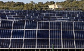 Associação Zero pede incentivo à energia solar descentralizada