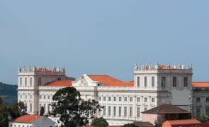 Ucrânia: Associação de Museologia promove ação pública de apoio simbólico em Lisboa
