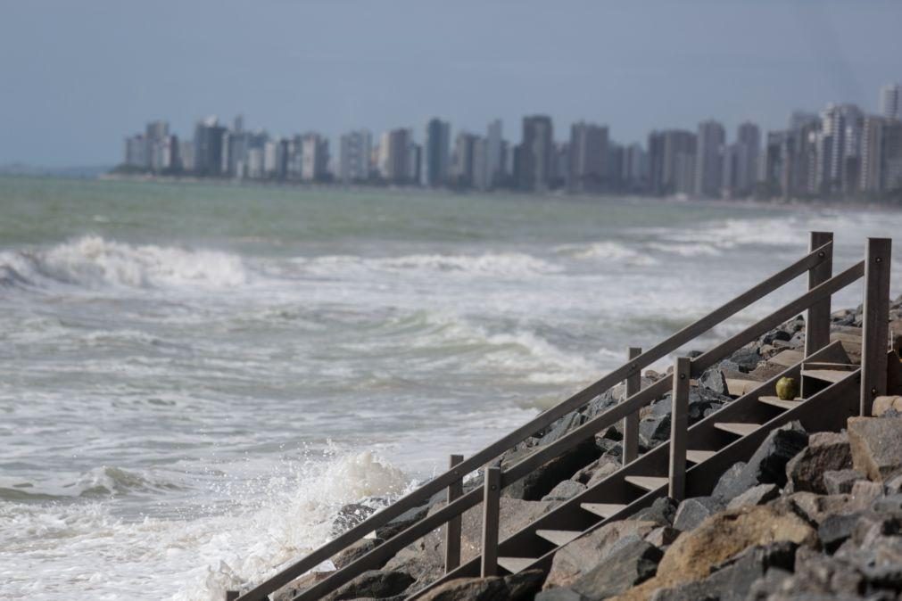 Relator da ONU alerta que retrocesso ambiental no Brasil é gravíssimo