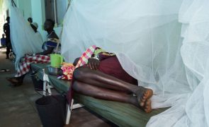 Província do centro de Moçambique regista 14 casos de cólera