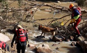 Balanço de inundações na África do Sul baixa para 435 mortos após corpos aparecerem com balas