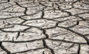 Seca: Portugal continental com 81,9% do território em seca moderada