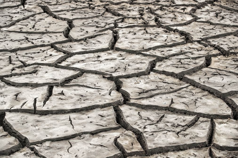 Seca: Portugal continental com 81,9% do território em seca moderada