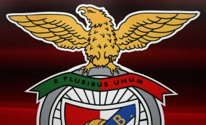 Benfica tenta vencer pela primeira vez a UEFA Youth League na quarta final