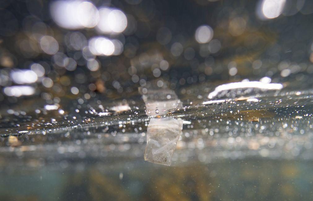 Microplásticos podem transportar para os oceanos germes que causam doenças