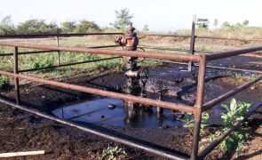 Timor-Leste adjudica cinco de 18 blocos em ronda de licenciamento de petróleo e gás