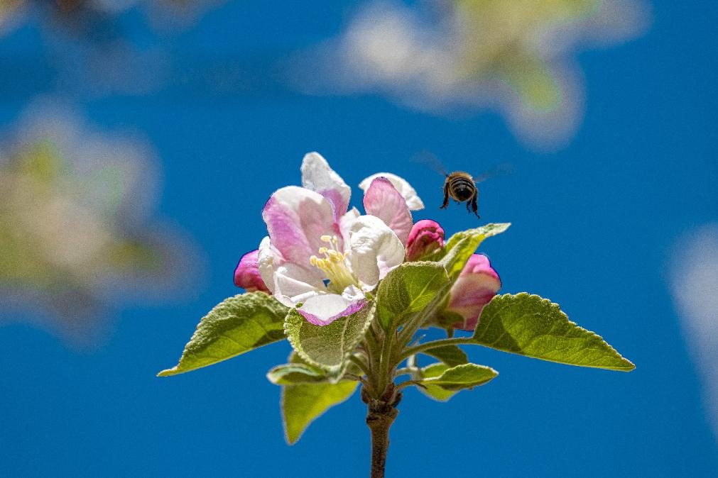 Meteorologia: Previsão do tempo para quinta-feira, 28 de abril