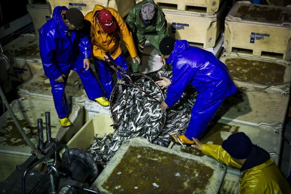 Pescadores da sardinha satisfeitos com limite anual de capturas