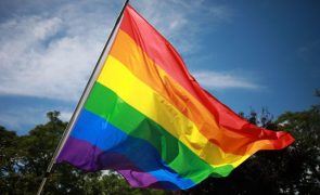 BE/Porto quer que câmara hasteie bandeira arco-íris no Dia Internacional contra Homofobia