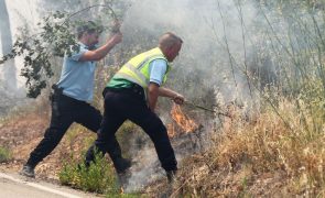 GNR já deteve este ano 36 pessoas por suspeita do crime de incêndio