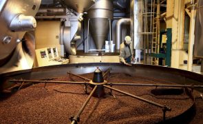 Angonabeiro vai produzir cápsulas com café angolano a partir de outubro