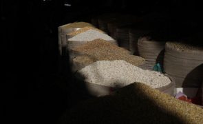 Kiev acusa Rússia de roubar centenas de milhares de toneladas de cereais