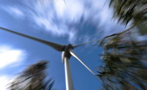 Galp assegura 4,8 GW de novos projetos de renováveis e entra na energia eólica no Brasil