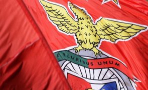 Benfica qualifica-se para as meias-finais da Liga Europeia de andebol