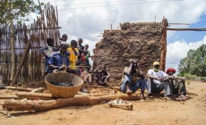 Insegurança alimentar grave afetou quase 3 milhões em Moçambique