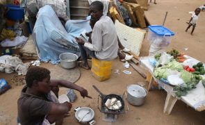 Quase 1,6 milhões sofrem de insegurança alimentar grave no sul de Angola