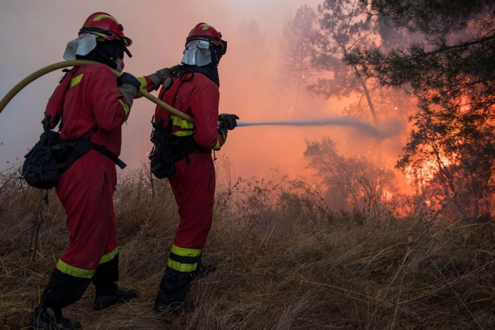 Duzentos operacionais combatem as chamas em S. Pedro do Sul