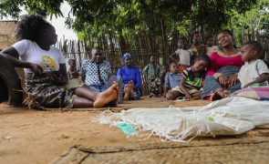 Moçambique/Ataques: Cerca de 180 mil deslocados vão ter novos documentos