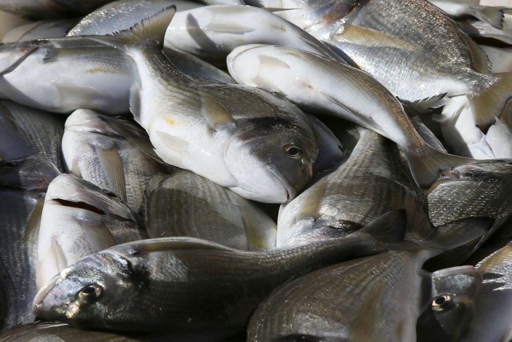 Cientistas reutilizam subproduto do biodiesel em rações de peixes de aquacultura
