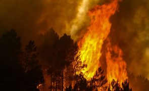 Concelhos de Loulé e São Brás de Alportel em risco máximo de incêndio