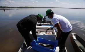Mais de 20 organizações criaram Rede Ibero-americana de Pesca Artesanal de pequena escala