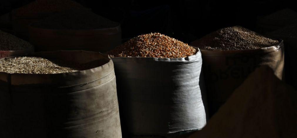 ONU agrega compras de matérias-primas alimentares para evitar crise em África