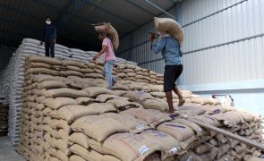 Milhares de toneladas de trigo retidas na Índia pela interdição à exportação