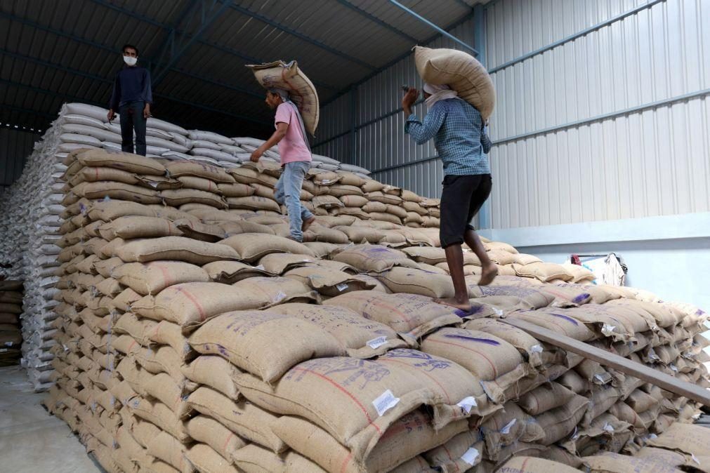 Milhares de toneladas de trigo retidas na Índia pela interdição à exportação