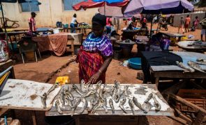Insegurança alimentar na Guiné-Bissau piorou nos últimos seis meses devido a preços e guerra