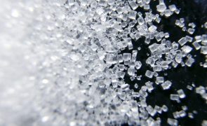 Biocom aumenta produção de açúcar e pode fornecer 80% do mercado angolano em 2022