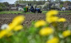 Bruxelas propõe ajuda aos agricultores e quer monitorizar 'stocks' de cereais