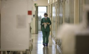 Portugal com 23 casos confirmados de infeção pela varíola dos macacos