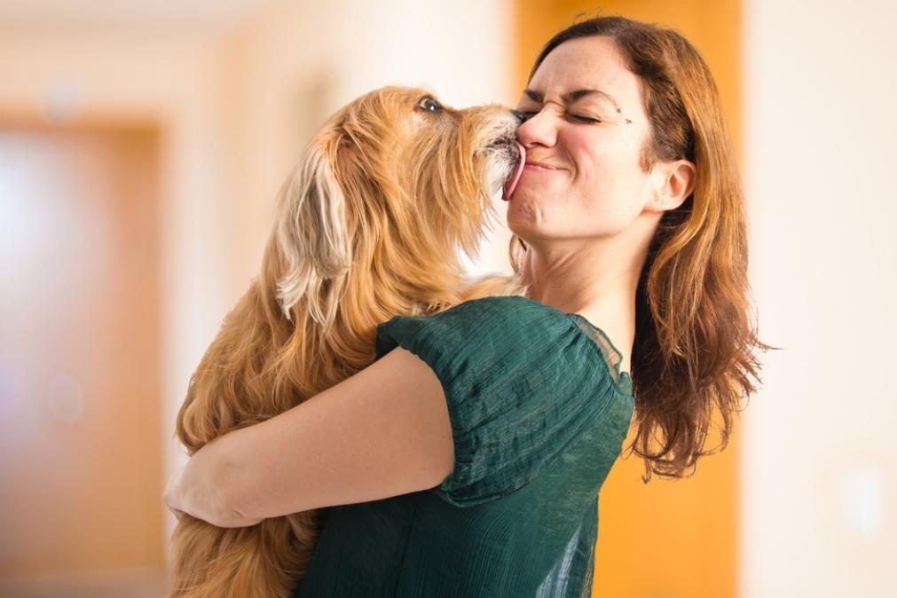 Fique a saber qual o detalhe comum aos cães mais bem comportados