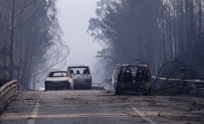 Liga admite necessidade de ajuda internacional caso ocorram incêndios como em 2017