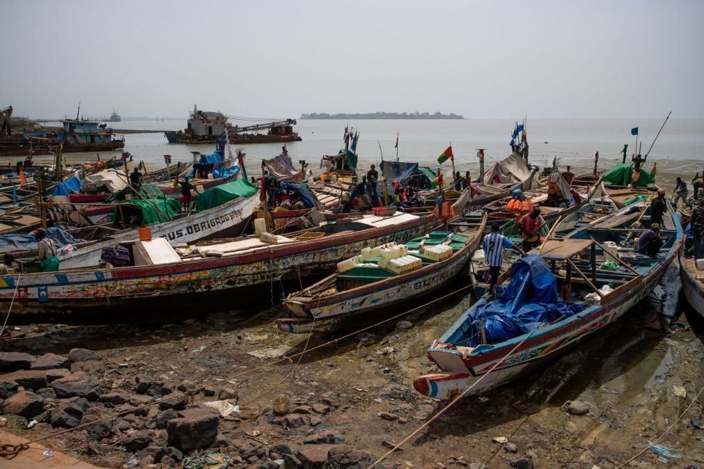 Atividade de pesca na Guiné-Bissau só beneficia o Senegal