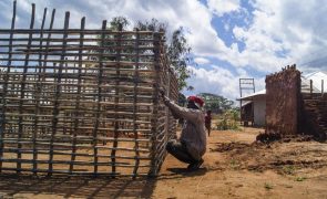 Moçambique/Ataques: ONG quer esclarecimentos sobre atribuição de terra