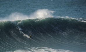 Nic Von Rupp e João Macedo nomeados para prémios de ondas gigantes na Nazaré