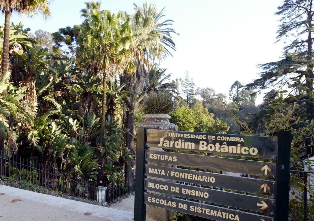 Jardim Botânico acolhe primeira Exposição Internacional de Orquídeas de Coimbra