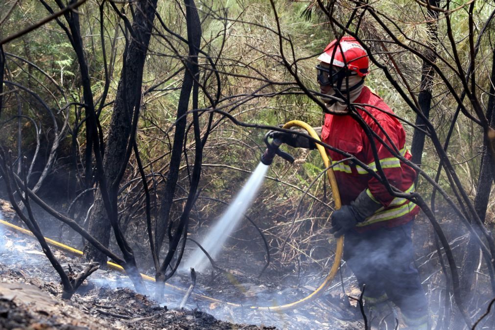 500 bombeiros e 14 meios aéreos combatem dois fogos em Oleiros